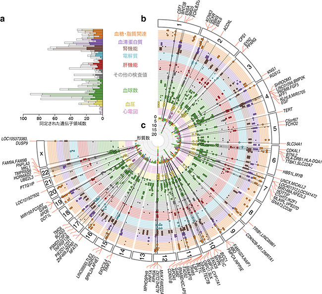 臨床検査値に対するGWAS結果の図