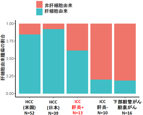 肝臓がん、胆道がんでの肝細胞由来の腫瘍の割合の図