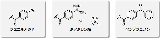 代表的な光反応性基の図