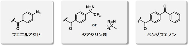 代表的な光反応性基の図