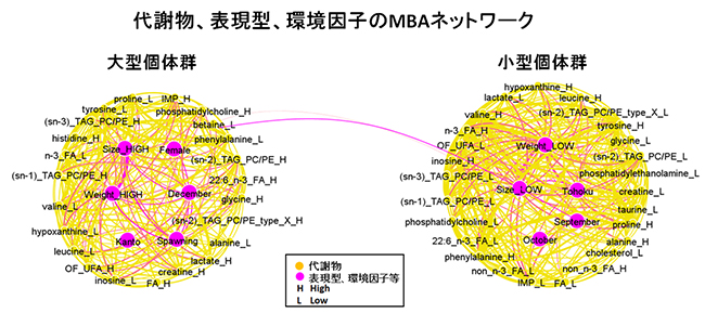 社会科学で用いられるマーケットバスケット分析（MBA)法を利用の図