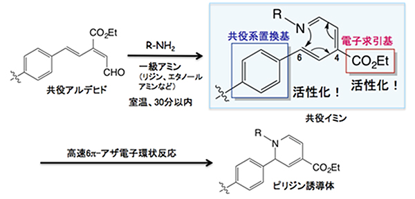 理研クリック反応とその活性化機構の図