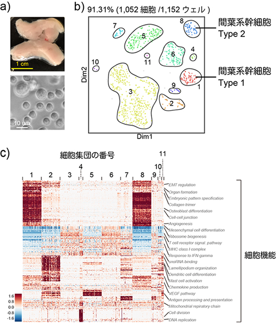 複数の細胞からなる臓器由来細胞を用いたQuartz-Seq2の解析例の図