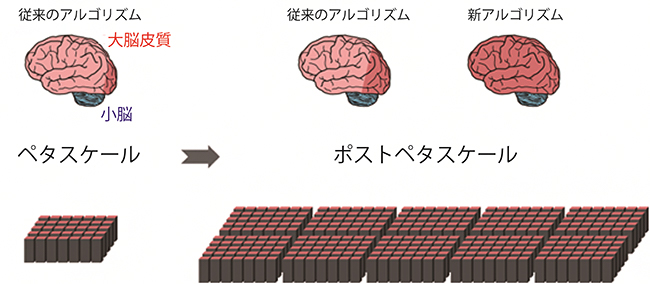 従来と新アルゴリズムによるシミュレーション可能な脳の規模とスパコンの規模の図