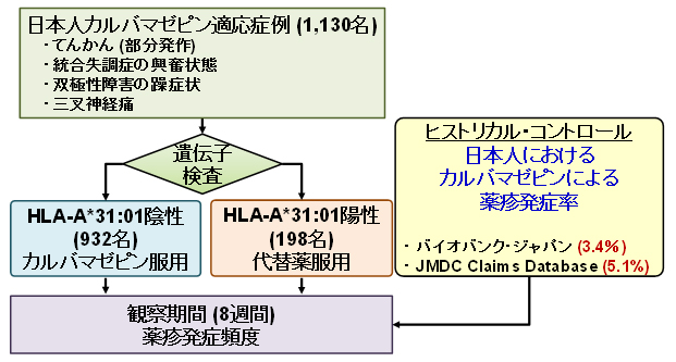 GENCAT studyの概要の図