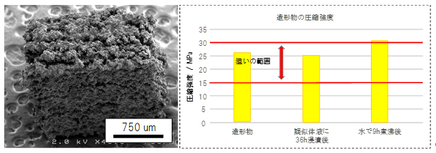 3次元積層造形物の走査型電子顕微鏡写真と圧縮強度の図