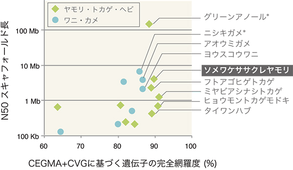 爬虫類ゲノム配列の品質評価の図