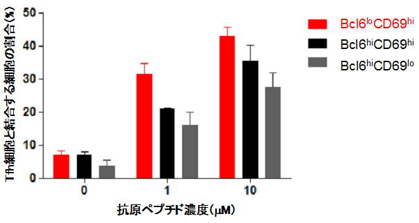 胚中心B細胞とTfh細胞の結合効率の図