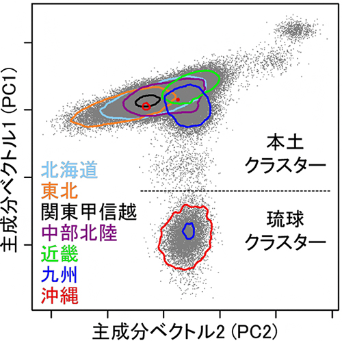 遺伝的背景に基づく日本人集団の分類の図