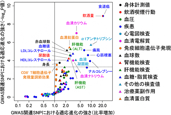 日本人集団で病気や臨床検査値に影響を与える遺伝的変異における適応進化の強さの図