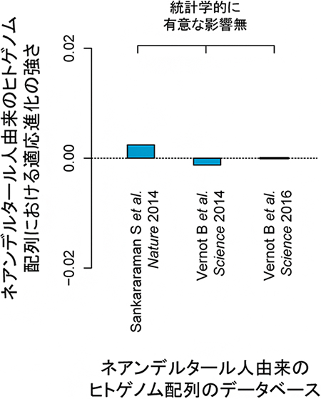 ネアンデルタール人由来のヒトゲノム配列における適応進化の強さの図