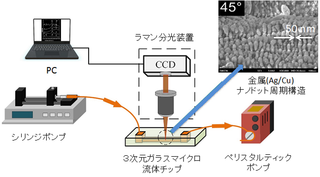 3次元マイクロ流体SERSセンサーによる微量有害物質のリアルタイム検出の図