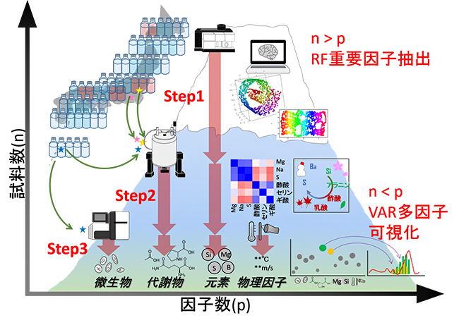 本研究の解析戦略の図