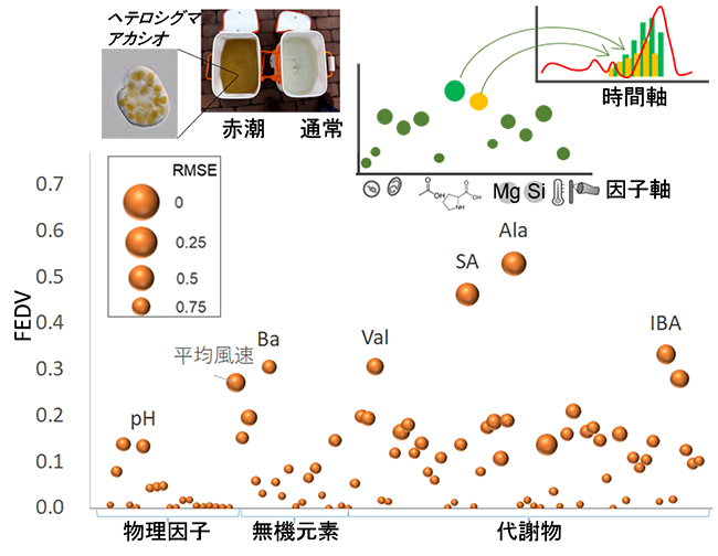 VAR法をベースとしたFEVDアプローチの概要の図