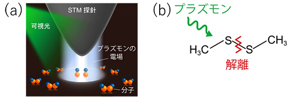 実験のモデル図と観測対象とした分子の分解反応の図