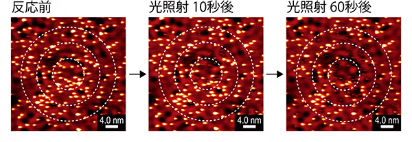 プラズモンによるDMDS分子の分解反応をSTMにより実空間観測の図