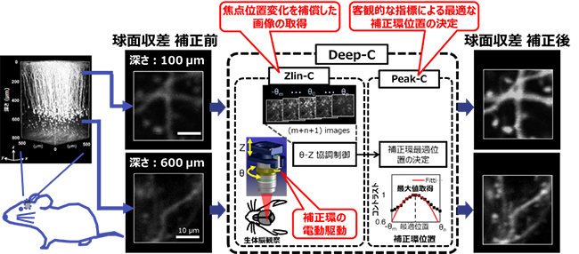 自動球面収差補正システム（Deep-C）の概要の図