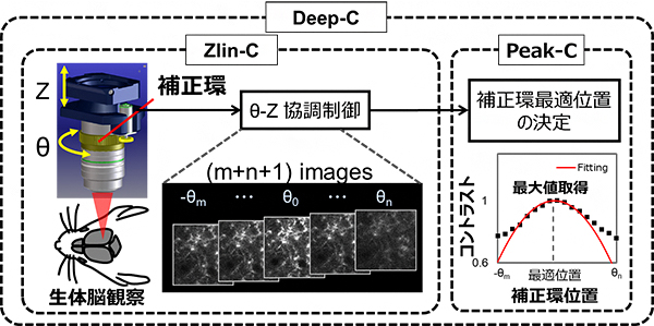 Deep-C概略図