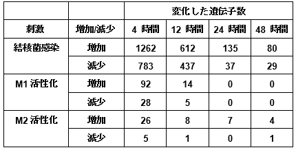 結核菌感染、M1およびM2活性化によって発現が変化した遺伝子数の表