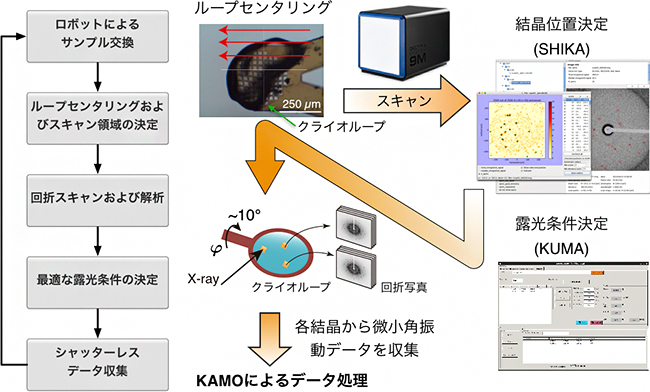 複数微小結晶を用いたデータ収集の流れの図