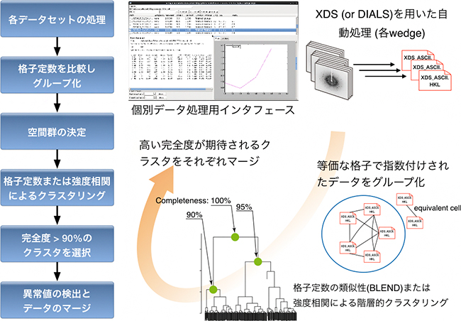 KAMOを用いたデータ処理の流れの図