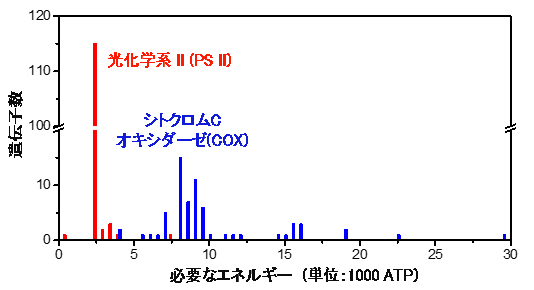 PS IIおよびCOXの遺伝子数と修復に必要なエネルギーの関係の図