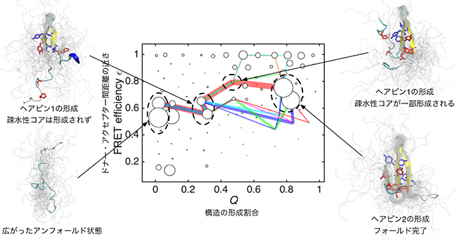 計測データを同化して得られた小タンパク質の折り畳み経路の図
