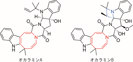 オカラミンの化学構造の図