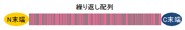 図1シルクタンパク質の模式図の画像