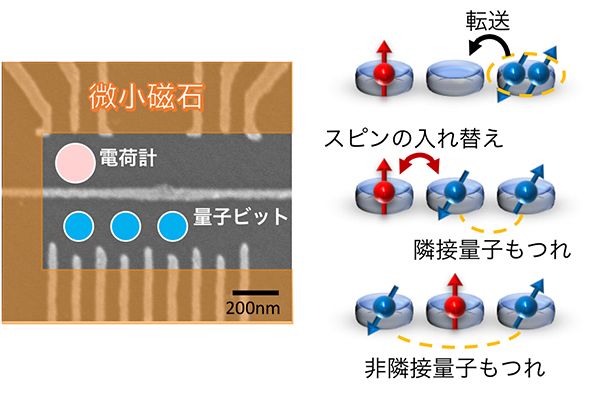 3量子ビットを擁する半導体量子ドット試料（左）と量子もつれ生成メカニズム（右）の画像
