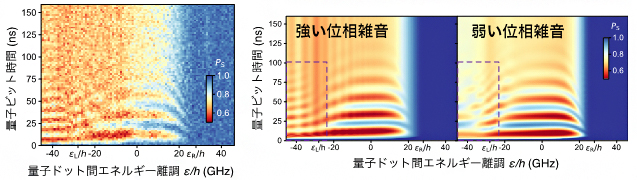 量子もつれ状態コヒーレント振動の測定結果（左）と数値シミュレーション（右）の画像