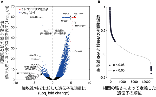 SINC-seq法により得られた並列RNA-seqの結果の1例の図