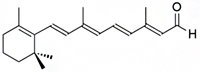 レチナールの図