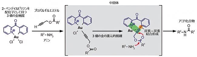 2-ベンゾイルピリジンを配位子として持つ金触媒によるプロパルギルエステルのアミド化の画像