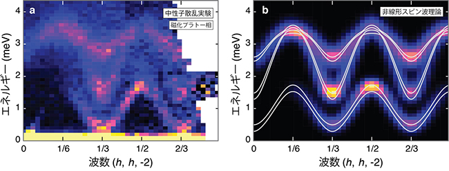 Ba3CoSb2O9の磁化プラトー相における中性子散乱実験(a)と非線形スピン波理論の解析(b)の図