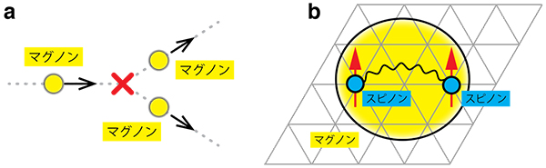 磁気励起スペクトルに異常をもたらす二つのシナリオの概念図の画像
