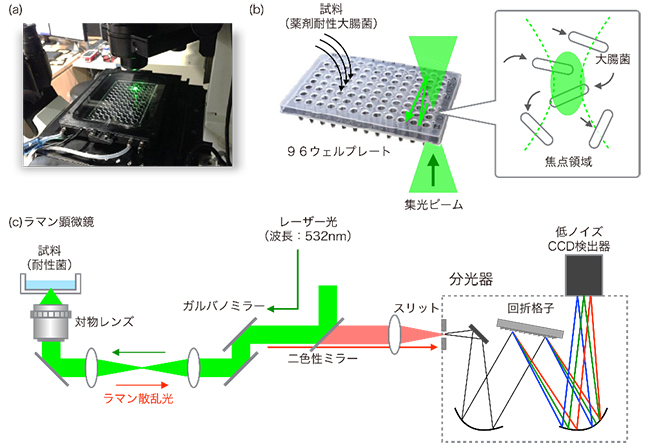 ハイスループットラマン散乱分光装置の図