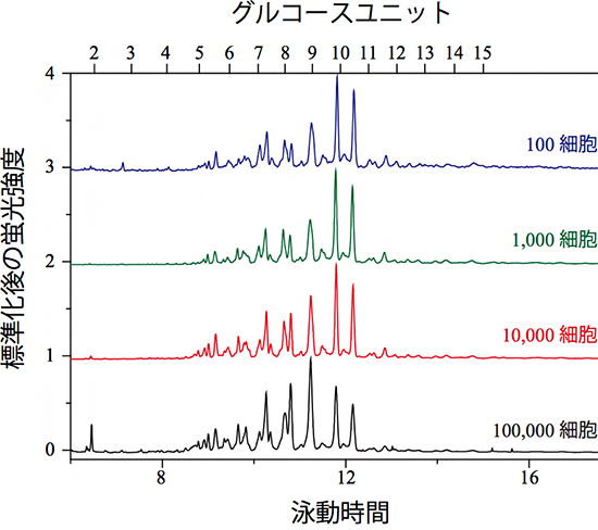 さまざまな濃度のHeLa細胞から得られた糖鎖プロファイリング結果の図