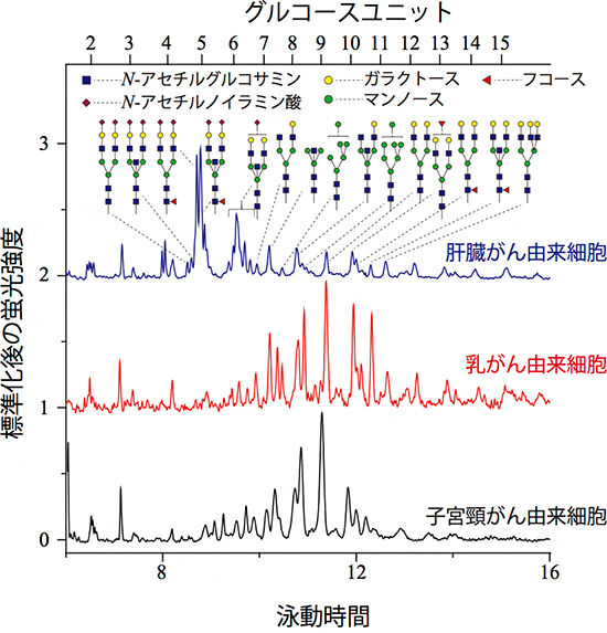 複数種類の細胞株に対する100細胞糖鎖プロファイリング解析例の図