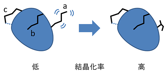 リジン残基の置換によるタンパク質結晶化率の改善の図