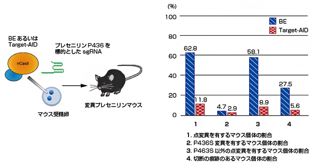 BEとTarget-AIDによる変異プレセニリンマウス(P436S)の作製の図