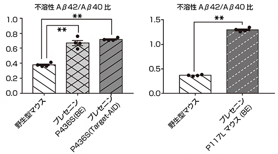 変異プレセニリンマウス(P436SとP117)におけるAβ産生パターンの図