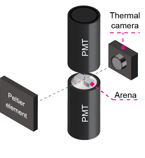 schematic of experimental setup for bioluminescence imaging