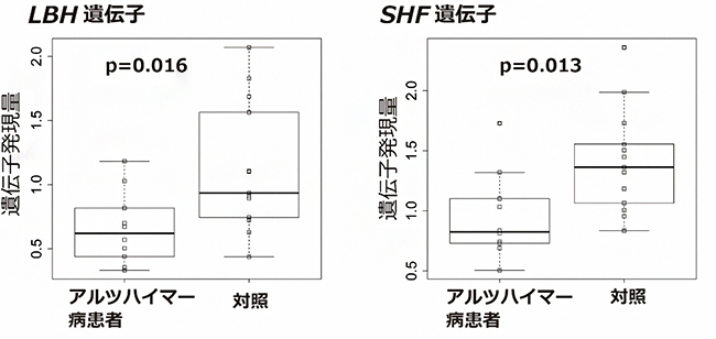 ヒト剖検脳における遺伝子発現量の比較の図