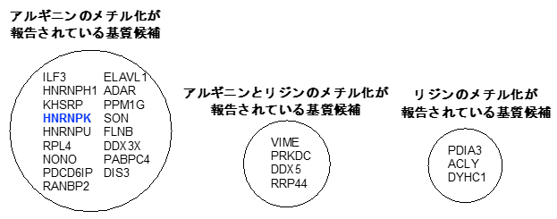 質量分析により同定されたsyn-HyPA-ETP 2の基質候補の図