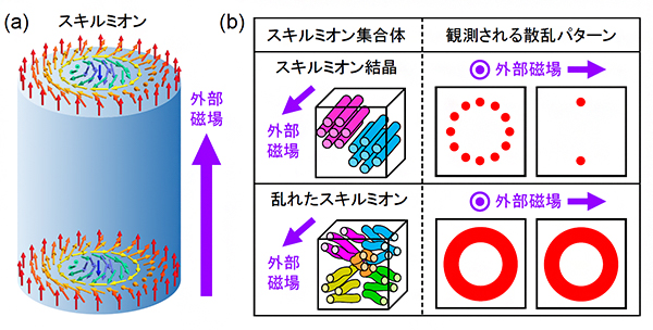 スキルミオンおよびスキルミオンの集合体の模式図の画像