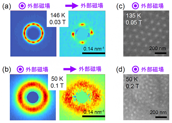 Co7Zn7Mn6で観測された中性子小角散乱パターンとローレンツ透過型電子顕微鏡イメージの図