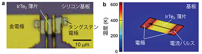 実験手法の概略の図