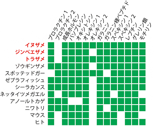 ホルモン遺伝子セットの種間比較の図