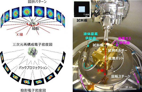 X線回折イメージング・トモグラフィー実験の概要と低温X線回折装置「壽壱号」内の低温ステージの図